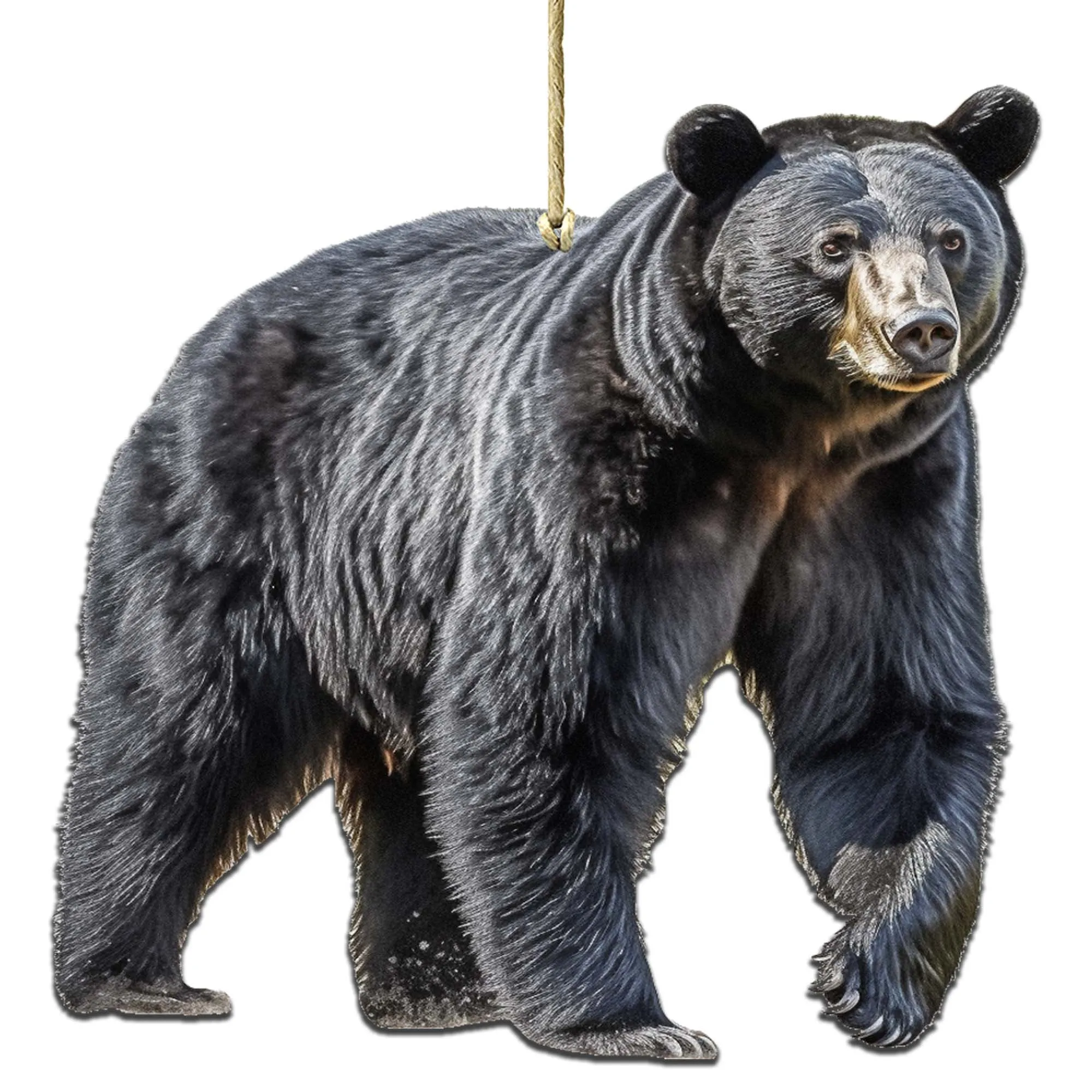Alaskan Black Bear Wooden Ornaments by G.Debrekht - Wildlife Holiday Décor - 8710105-1