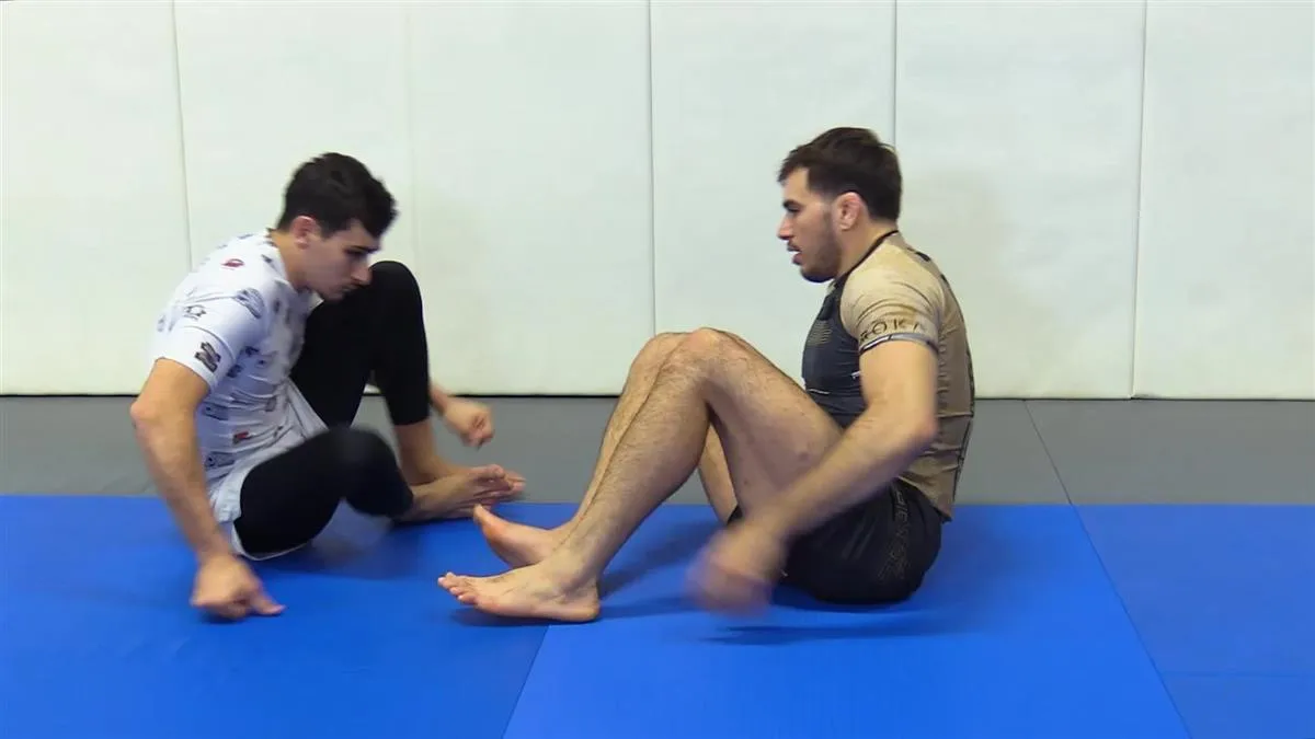 Efficiently Executing From Butterfly Guard by Giancarlo Bodoni