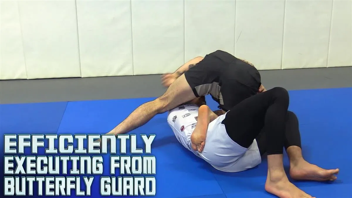 Efficiently Executing From Butterfly Guard by Giancarlo Bodoni