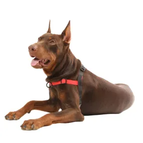 GENTLE WALK TRAINING DOG HARNESS GENTLE WALK TRAINING DOG HARNESS