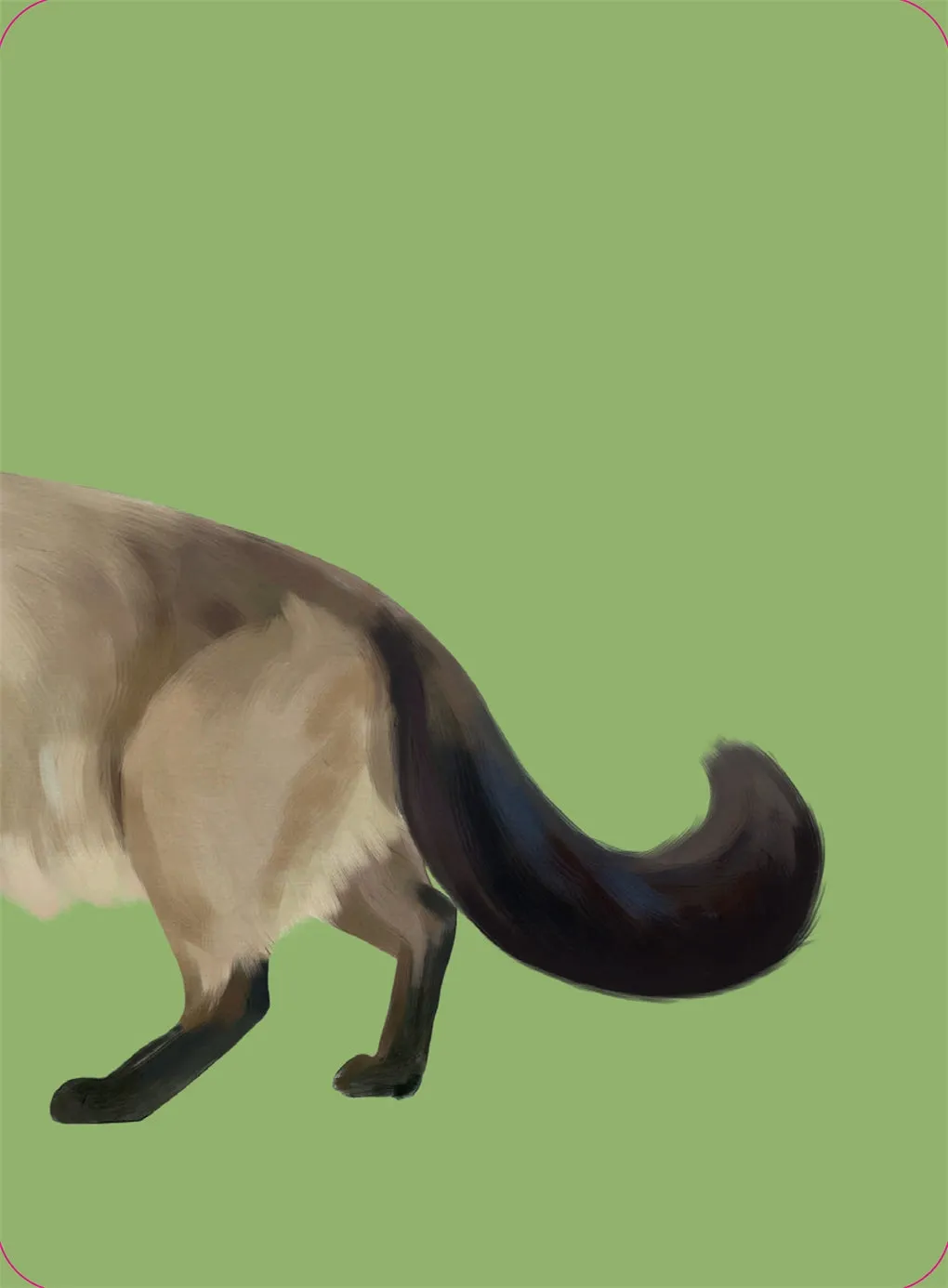 Heads & Tails: Cat Memory Cards