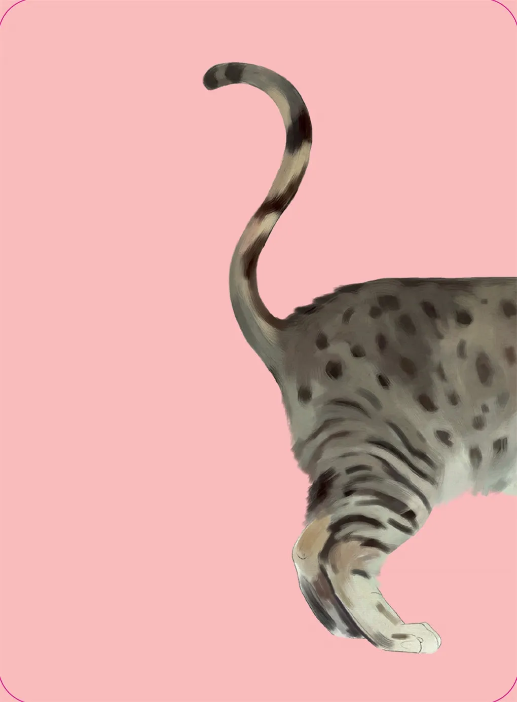 Heads & Tails: Cat Memory Cards