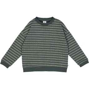 Müsli by green cotton Kinder Sweatshirt – Stripe Müsli by green cotton Kinder Sweatshirt – Stripe