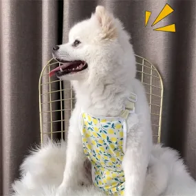 Pet Menstrual Pants, Washable Female Dog Diapers, Protective Belly Bands for Pet Clothes Pet Menstrual Pants, Washable Female Dog Diapers, Protective Belly Bands for Pet Clothes